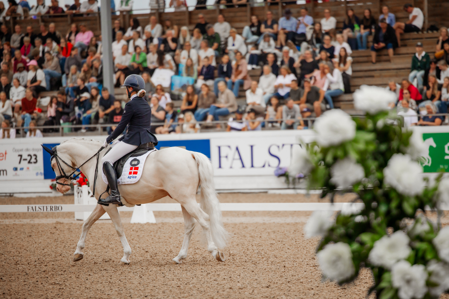 Fra Falsterbo Horse Show 2022 pony dressur