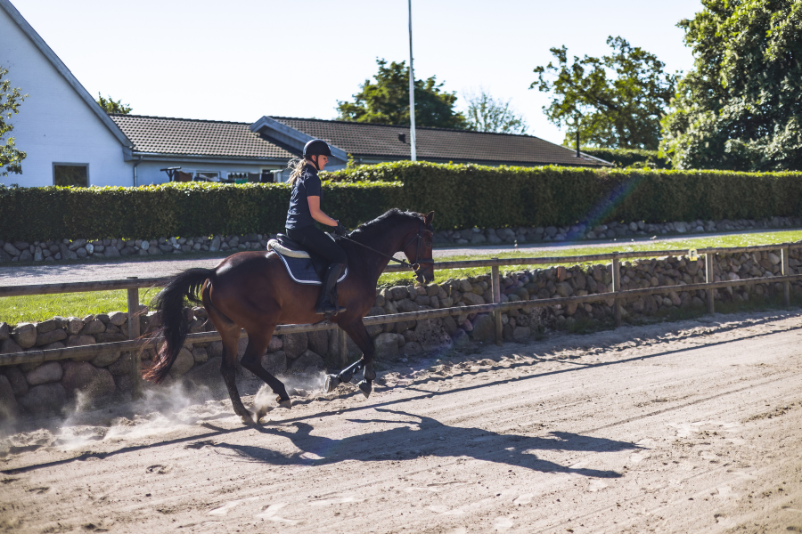 pige galoppere på hest på ridebane