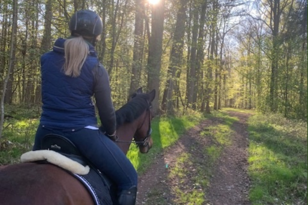 for mange er rideturen i naturen en af hestelivets største glæder. men adgangen til skove, stier og naturområder varierer og er flere steder begrænset. foto malgré tout