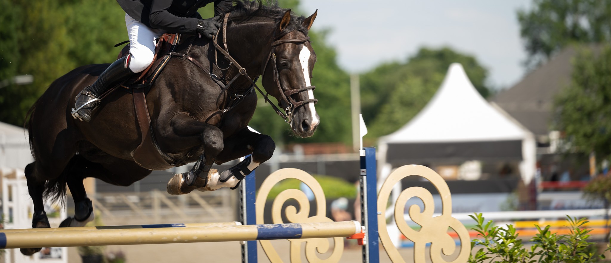 Foto: Malgré Tout