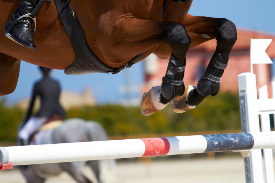 pony springer. Baltic Cup er bygget som en turnering for unge springryttere fra lande omkring Østersøen. Serien har eksisteret siden 2000 og drives som en frivillig forening. Foto: Canva Pro