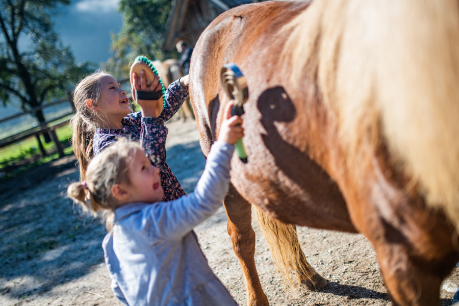 Børn strigler pony.