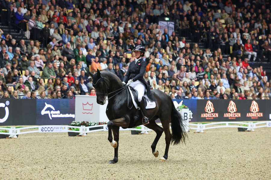 Carina cassoe krüth og hesten Heilines Danceria til Hingstekåring Herning 2026.