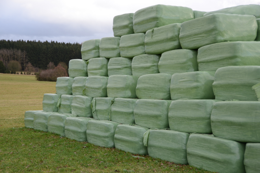 Ensilerede wrap baller stablet på marken.