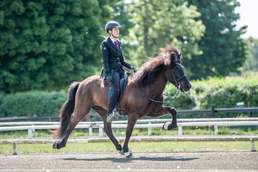 ved feif vm i rieden 2027 rider man med begge tøjler i én hånd — og testens afgørende sektion dobles i udregningen . foto amalie møller san pedro privat