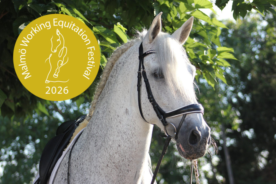 working equitation festival 2026