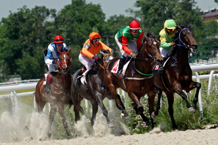 1.august er der bucherer derby på klampenborg galopbane. foto arkiv