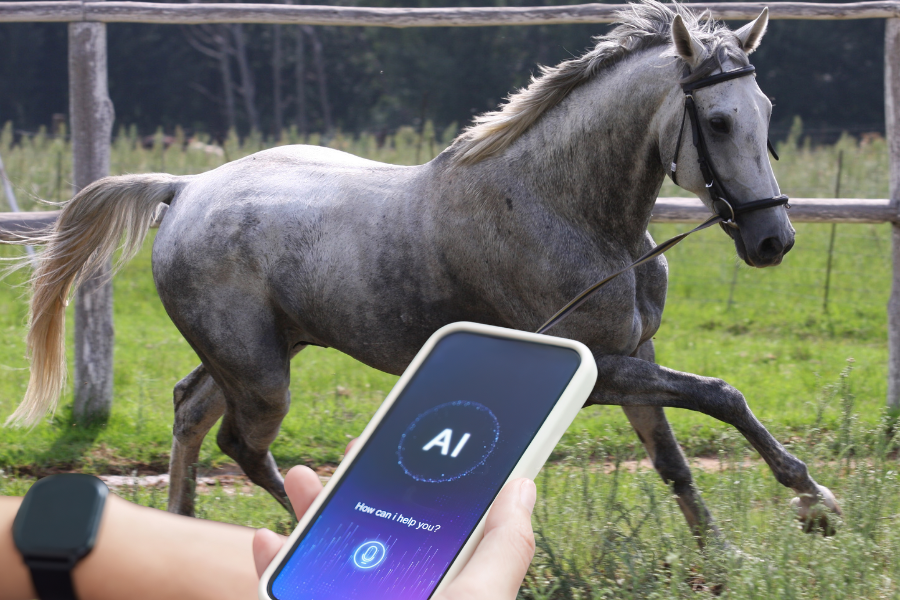 apps kan med hjælp fra ai hjælpe dig til at analysere din hests bevægelser og eventuelle halthed. foto. canva