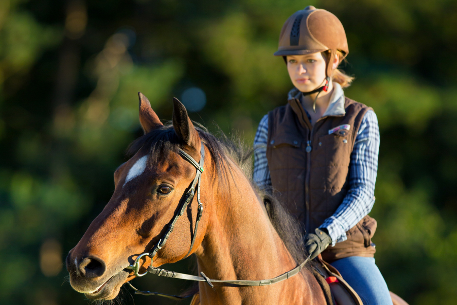 pige rider på brun hest