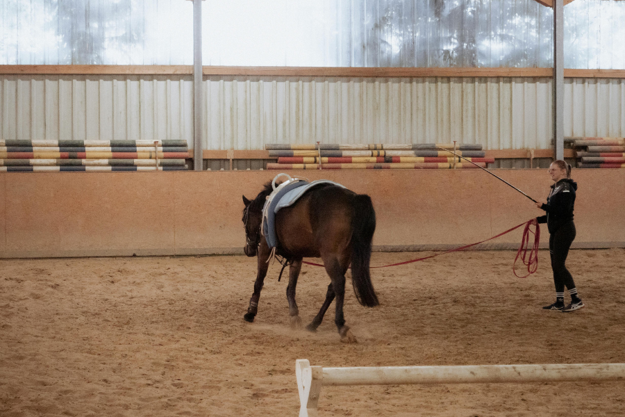 kvinde longerer hest