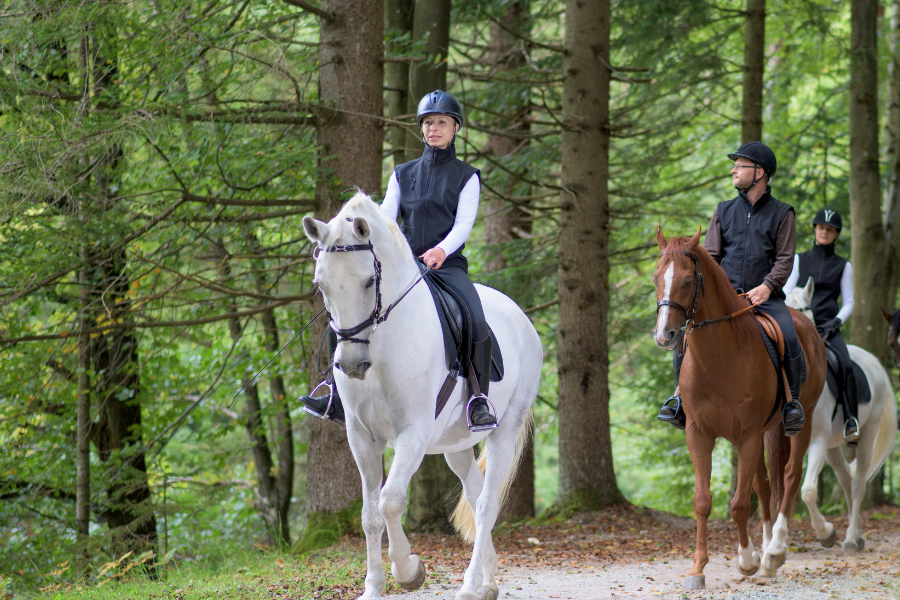 kvinde og mand rider i skoven