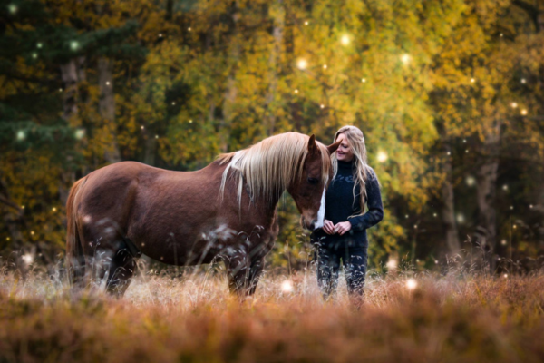 i frihedsdressur har hesten mulighed for selv at tage afstand og bede om en pause, hvis intensiteten bliver for høj. det er noget, helene gjerding flere gange har oplevet i sit arbejde med hestene