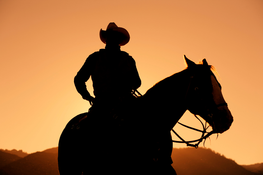 Cowboy