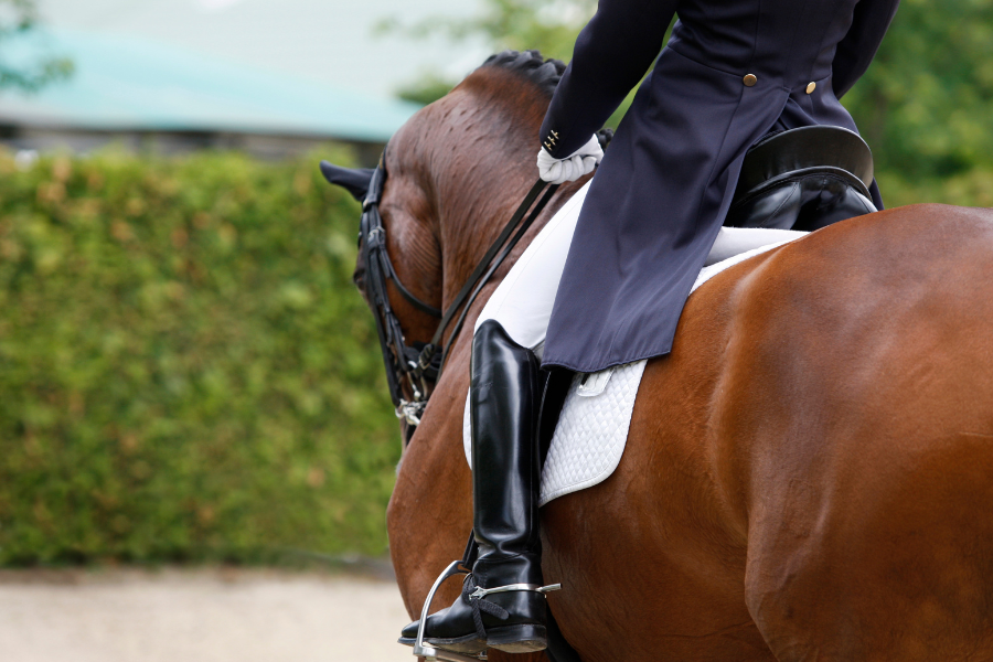 Rytter rider dressur.