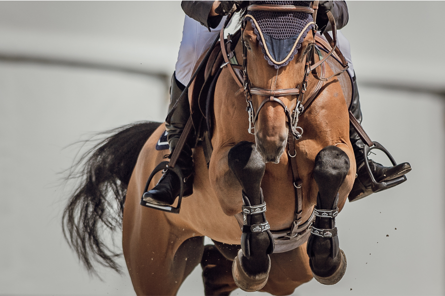 springchampionatet omfatter fire aldersklasser – 4 , 5 og 6 års heste samt en fælles klasse for 7 og 8 års heste – og giver et spændende indblik i de springtalenter, der kan udgøre fremtidens el
