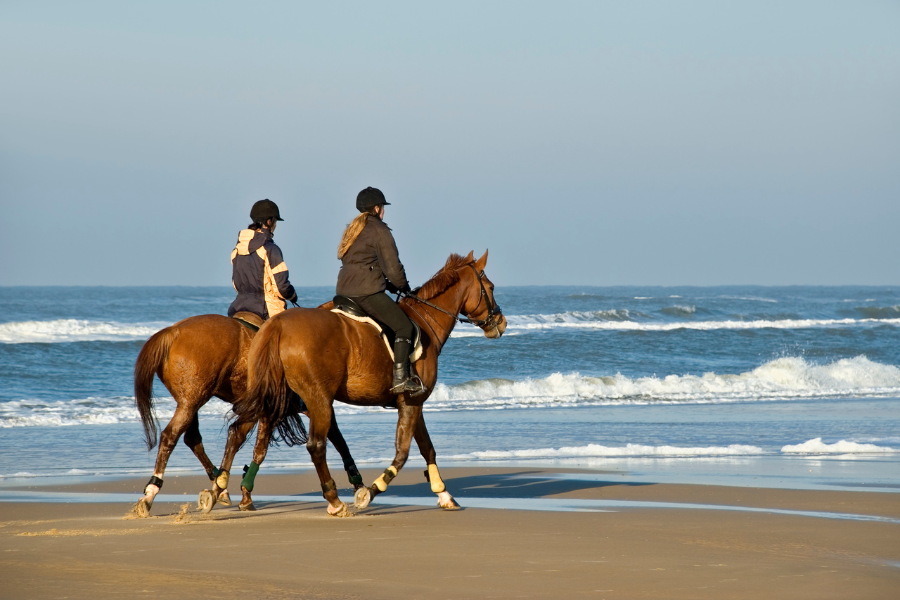 To ryttere på brune heste rider langs stranden med havet og bølgerne i baggrunden.