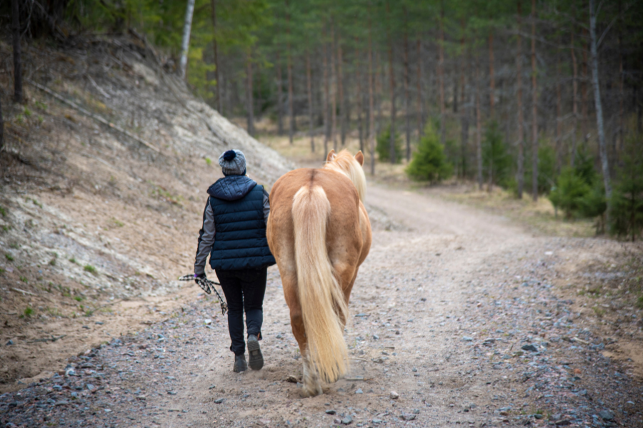Person går med sin hest ad en grusvej gennem skoven.
