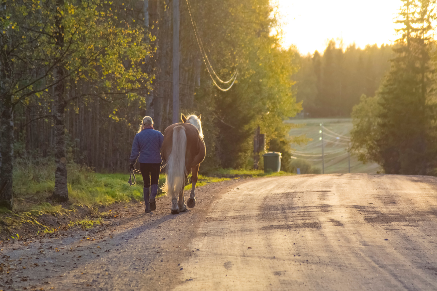 Person går tur med sin hest på en stille landevej i aftensolen.