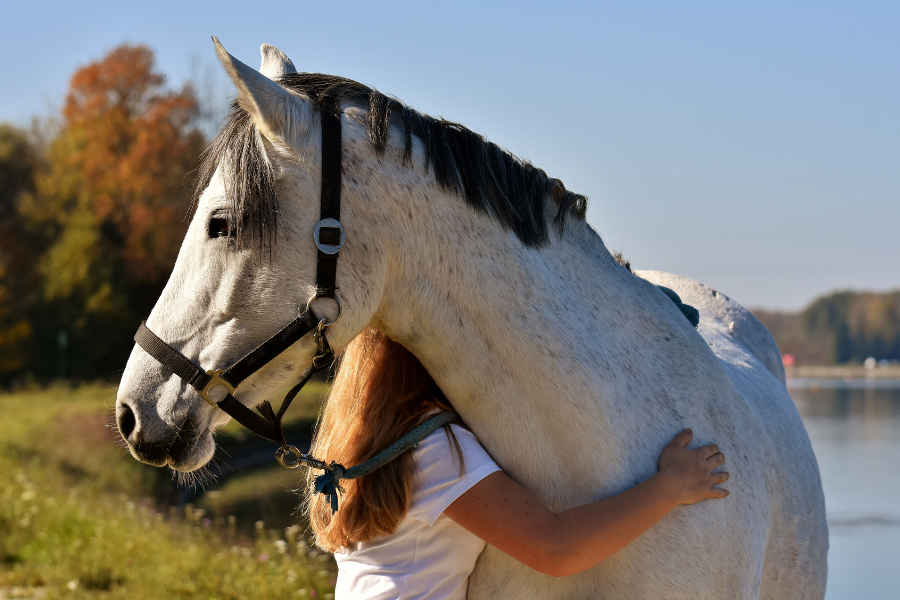 Pige krammer sin hest