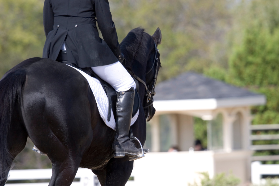 dressur equipage set skråt bagfra