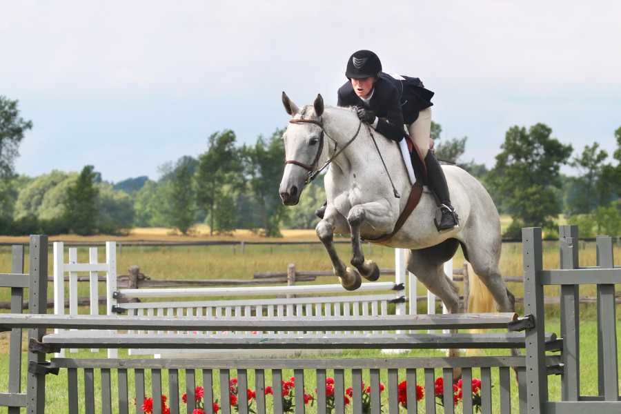hunter equipage