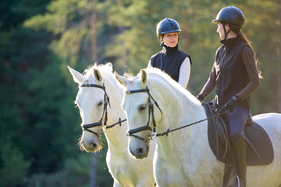 To kvinder rider side om side på hvide heste og taler sammen på turen.
