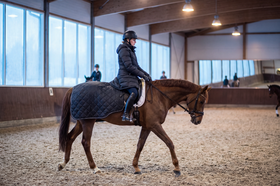 rød hest og rytter skridter varm i ridehus