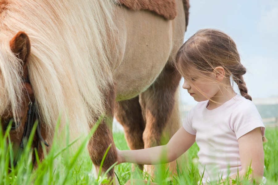 shetlandpony og pige på græsmark