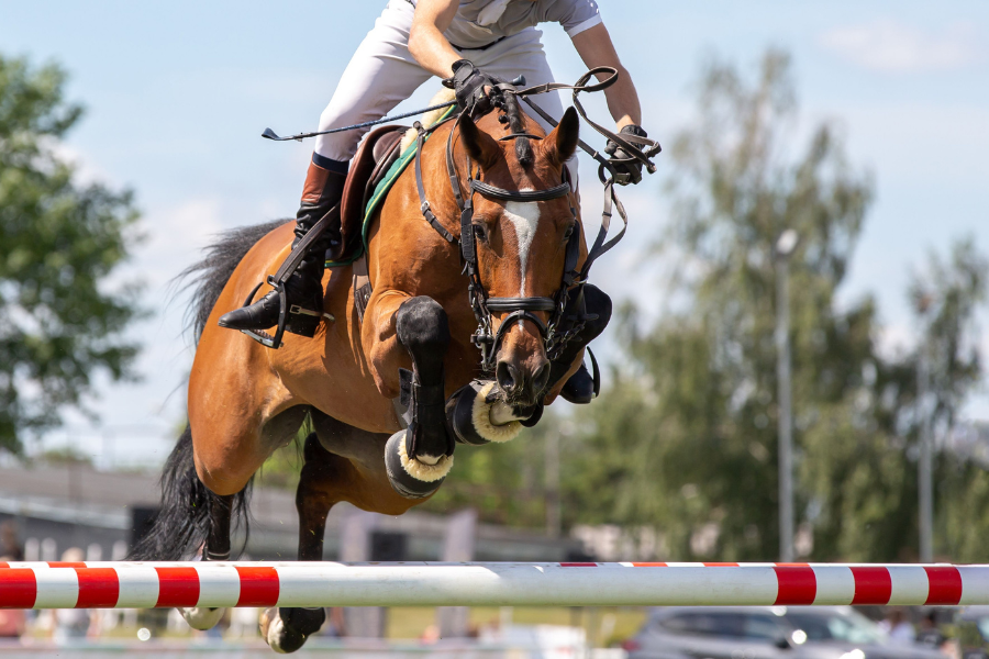 spring equipage hvor både pisk og sporer bliver brugt