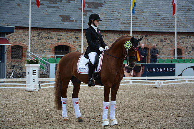 Louise Christensen og Vegelins Goya - i top 3 (Dansk Ride Forbund)