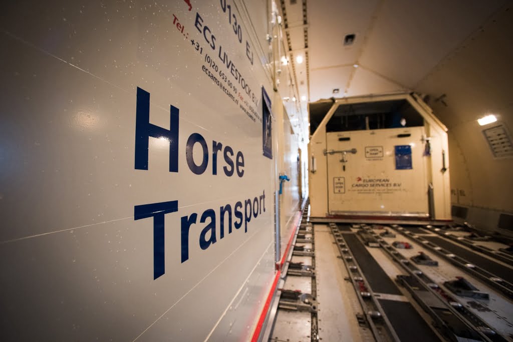 Horses bound for the Rio 2016 Olympic Games are loaded on to an Emirates SkyCargo Boeing 777-F at London Stansted Airport. On the flight were 34 horses from 10 of the nations competing in Equestrian at Rio 2016 - 29 July 2016 - Pic Jon Stroud