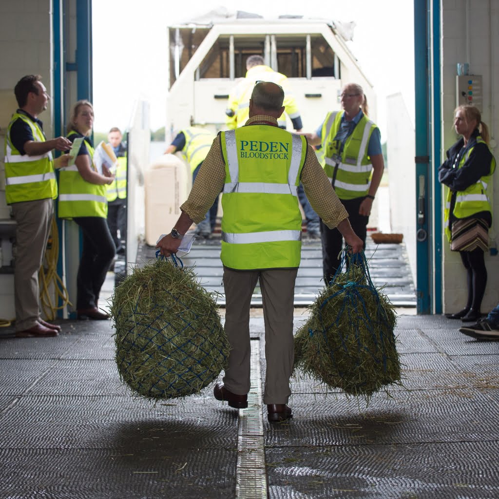On-board snacks are loaded for horses bound for the Rio 2016 Olympic Games - 29 July 2016 -Pic Jon Stroud